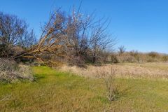 Участок в Крыму в Сакском районе