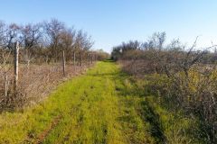 Участок в Крыму в Сакском районе