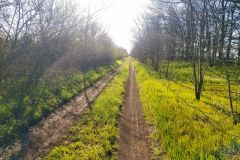 Участок в Крыму в Сакском районе